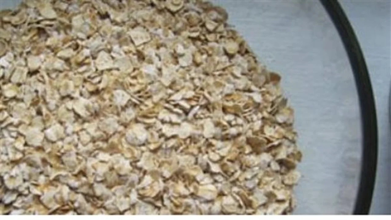 3 عناصر حيوية.. دور الشوفان في ضبط مستويات السكر والوزن وضغط الدم